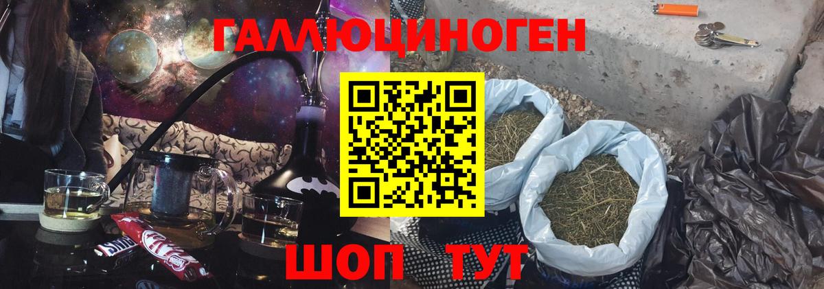 Псилоцибиновые грибы Psilocybe Белово